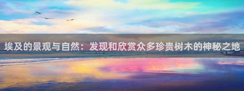 gg新宝创新