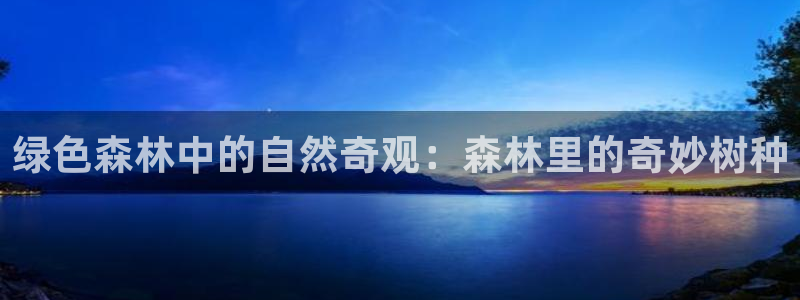 新宝gg娱乐怎么样