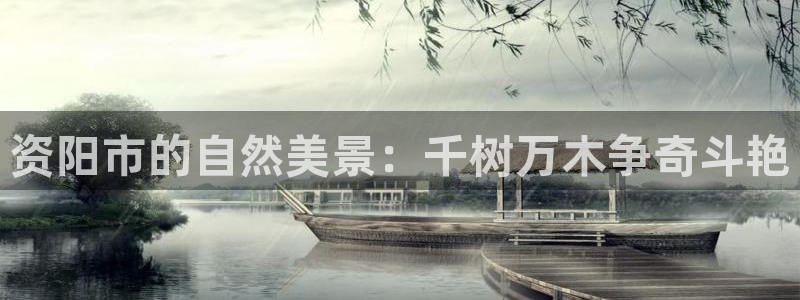新宝gg代理条件