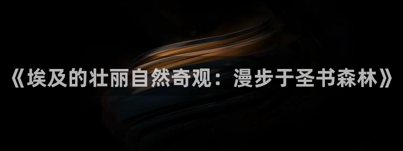 新宝gg直属上级