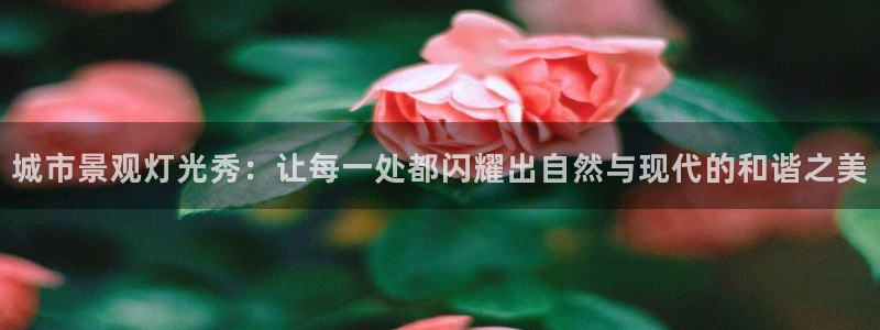 新宝gg平台开发