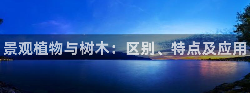 新宝gg创造奇迹下载