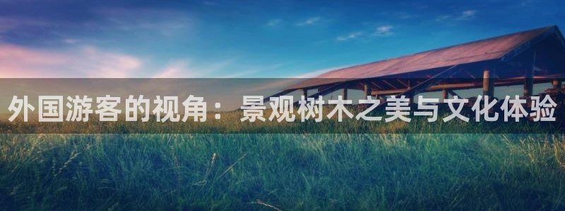 新宝GG都有哪些计划