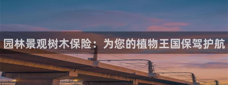 新宝gg提点