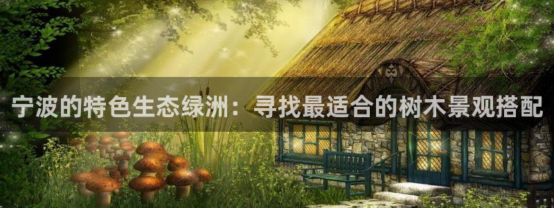新宝gg类似