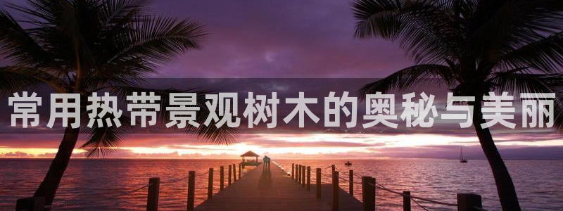 新宝gg怎么开户