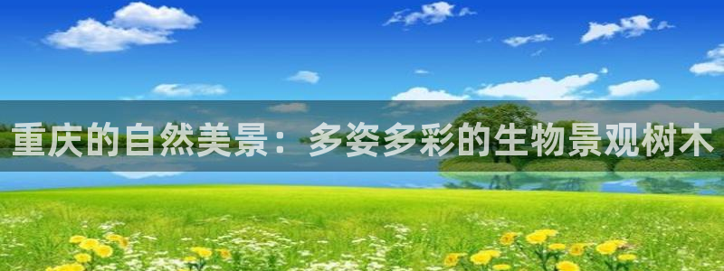 新宝gg主管_