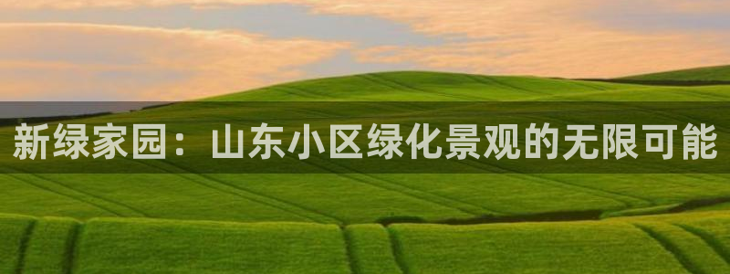 新宝gg论坛