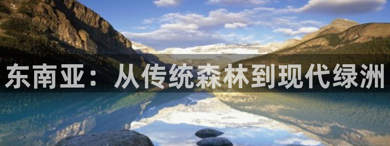 新宝哈哈gg