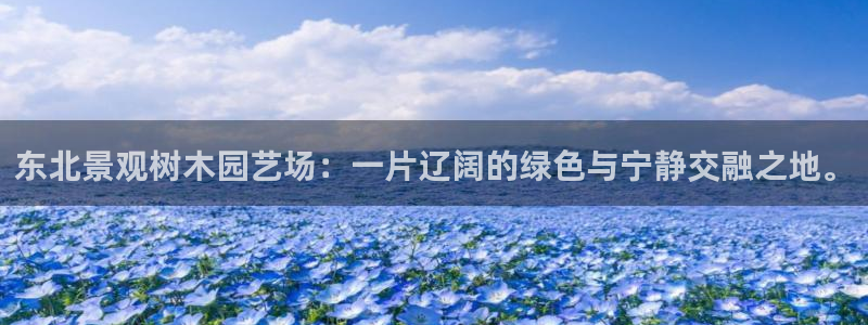 新宝gg计划