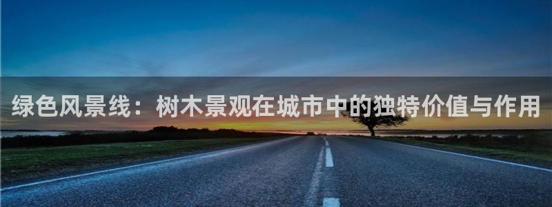 新宝gg测试