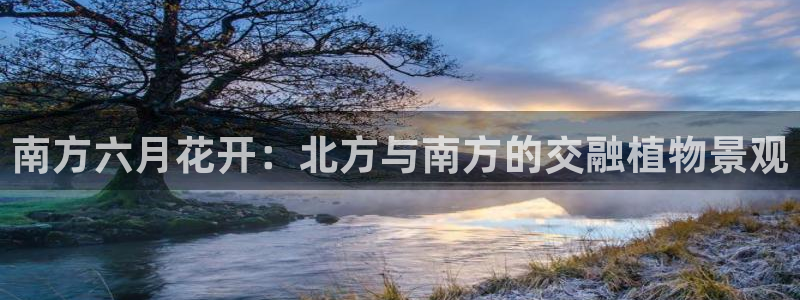 新宝gg平台怎么样