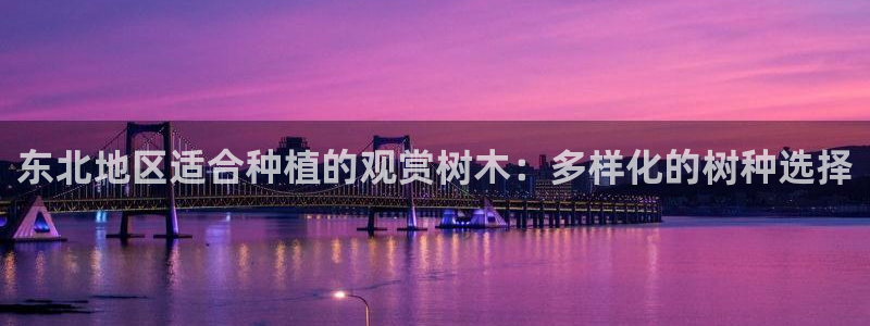 新宝gg重庆