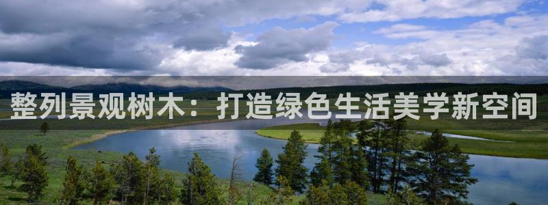 网站是新宝gg