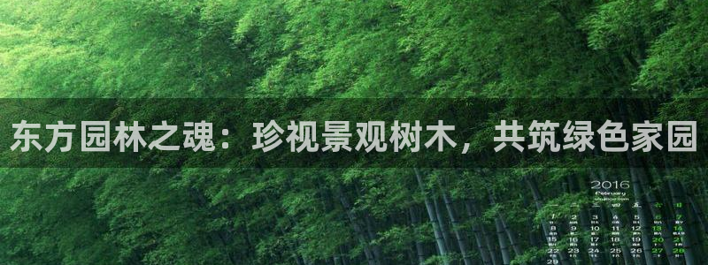 新宝gg返点1956是多少