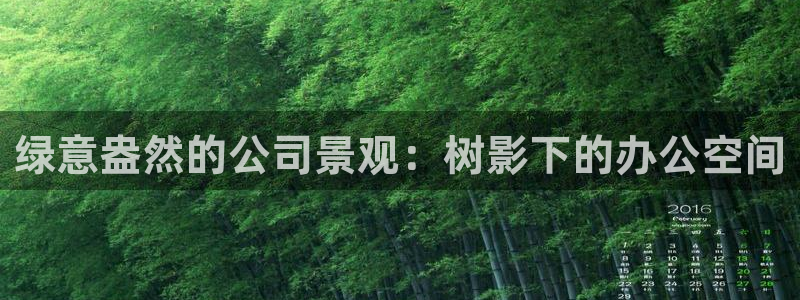新宝GG 黑钱