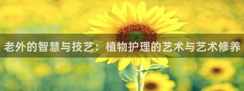 新宝gg开奖结果