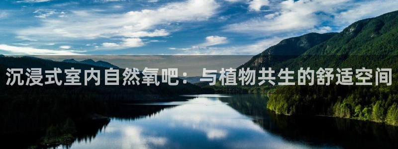新宝gg官网