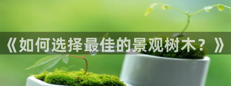 新宝GG娱乐下载