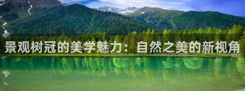 新宝gg信息