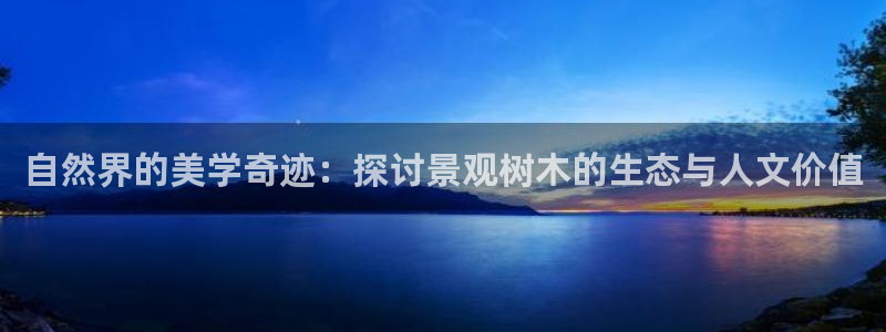 新宝gg地址