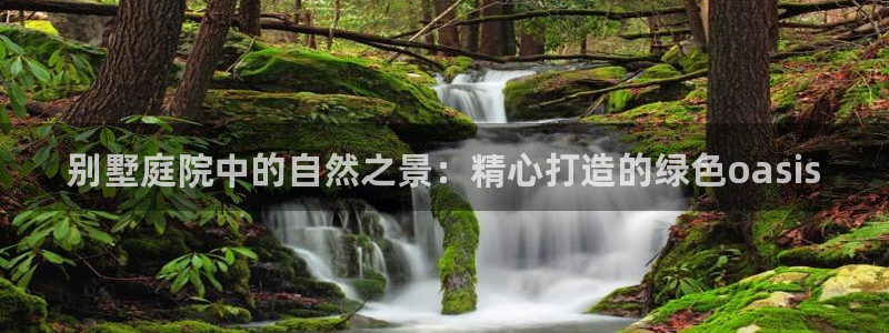 新宝GG无法充值