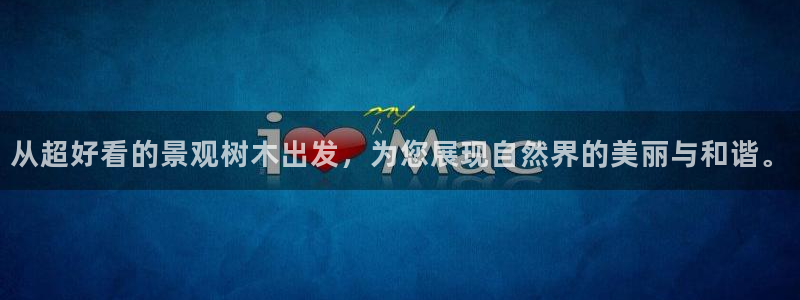 新宝GG勒55312