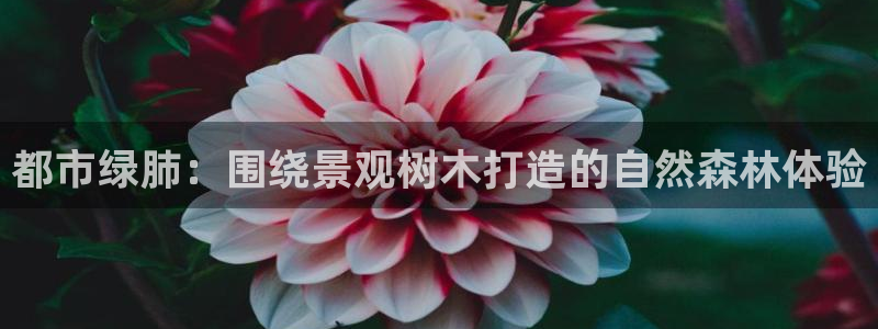 新宝gg地址