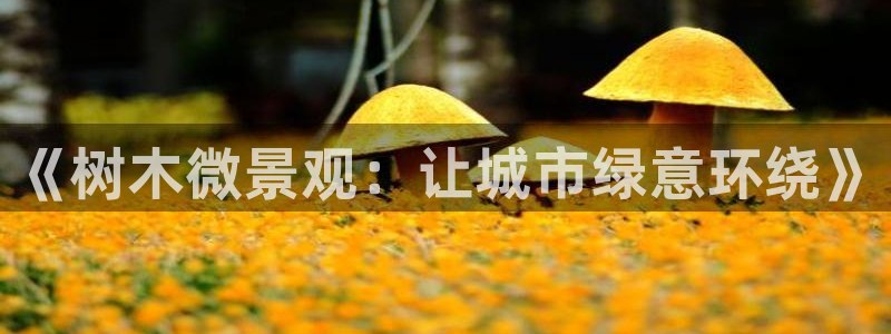 新宝 gg .com