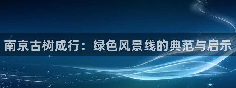 新宝gg打发