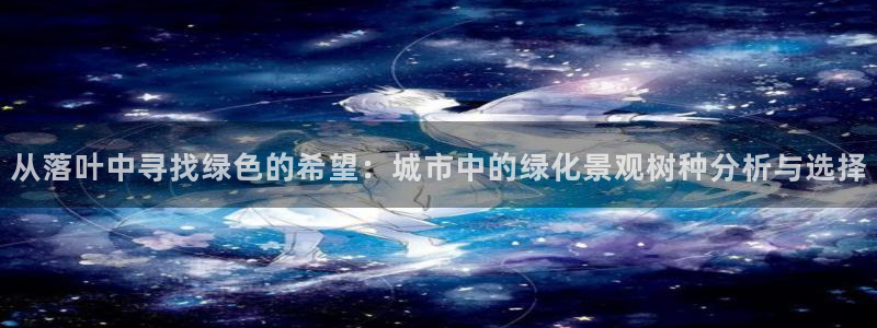 新宝gg成立