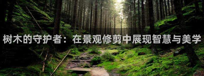 新宝奇迹GG5