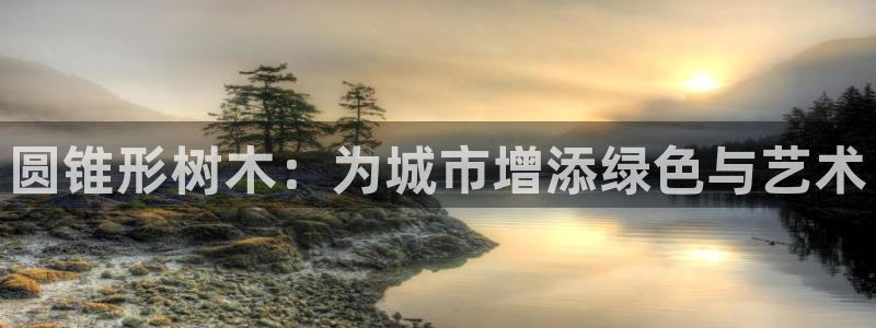 新宝gg如何代理