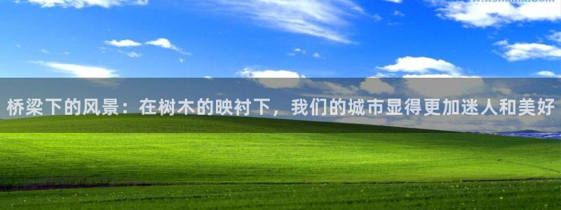 新宝GG 扣.772332