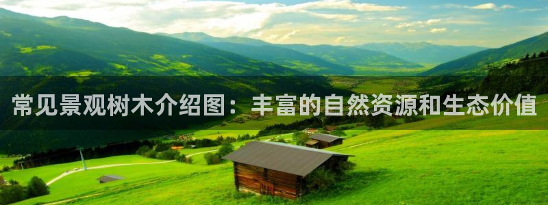 新宝gg开奖结果可信吗
