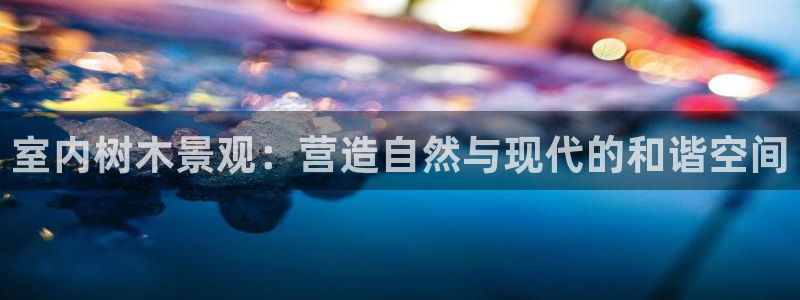 新宝一GG