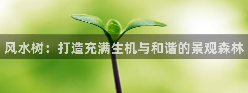 新宝 gg .com
