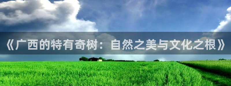 新宝gg平台怎么样