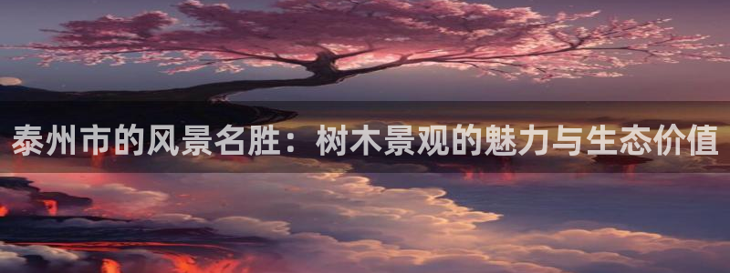 新宝一gg测速