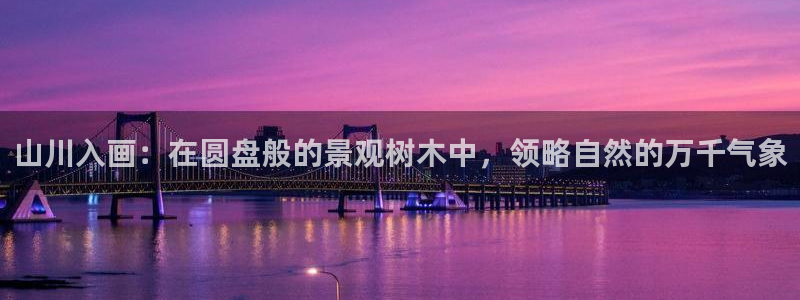 新宝gg网址