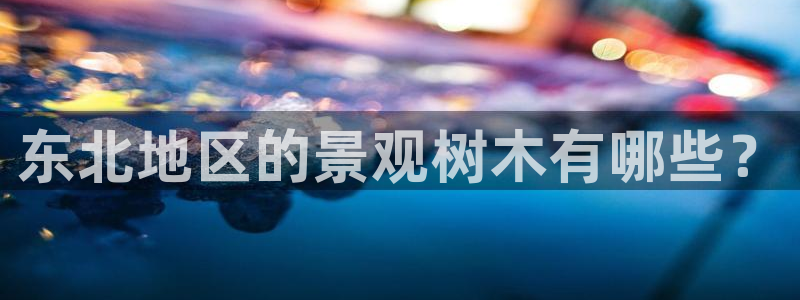 创造奇迹新宝gg