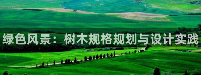 新宝gg用哪个浏览器