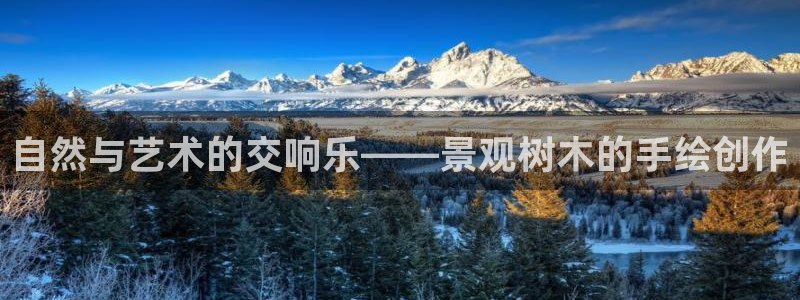 新宝gg娱乐平台