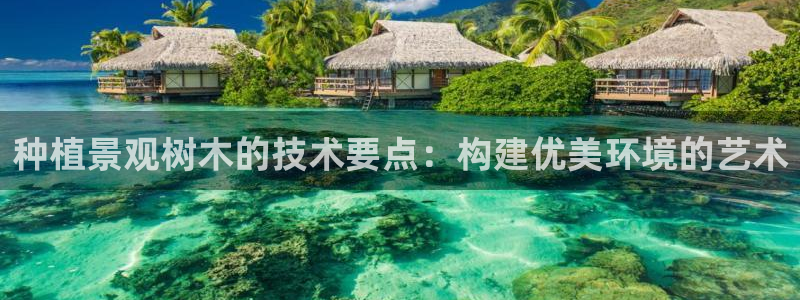 新宝GG桌面