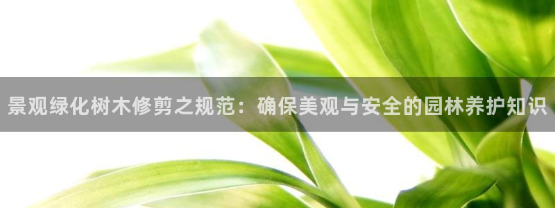 新宝gg挣钱