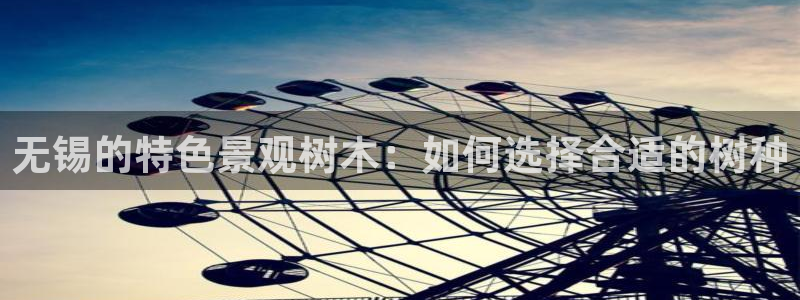 新宝奇迹GG5：无锡的特色景观树木：如何选择合适的树种
