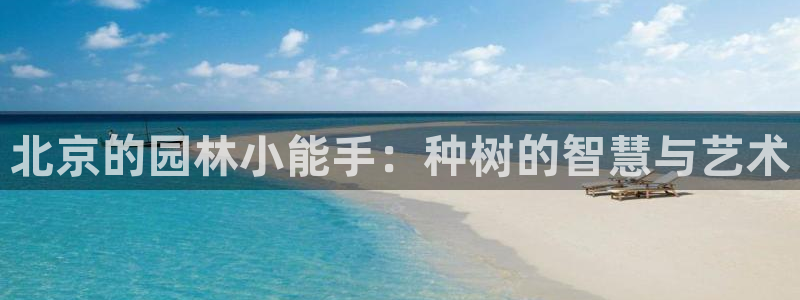 新宝gg首页
