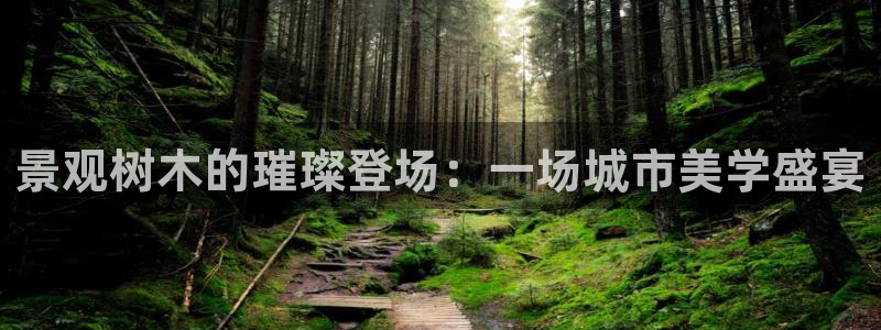 广东新宝电器gg