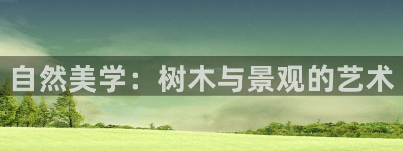 新宝gg如何赚钱