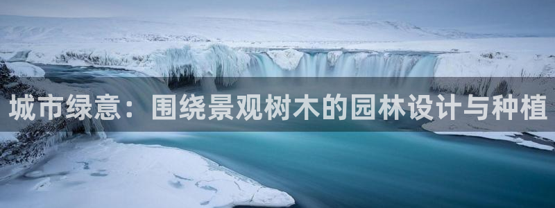 新宝gg返点模式